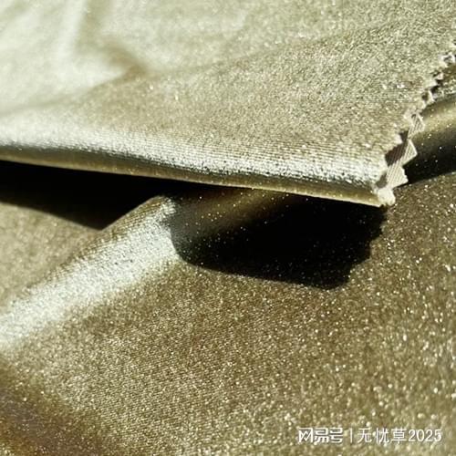 2025加厚金絲絨與印花金絲絨推薦——常熟市龍玉針紡織品直供廠(chǎng)家